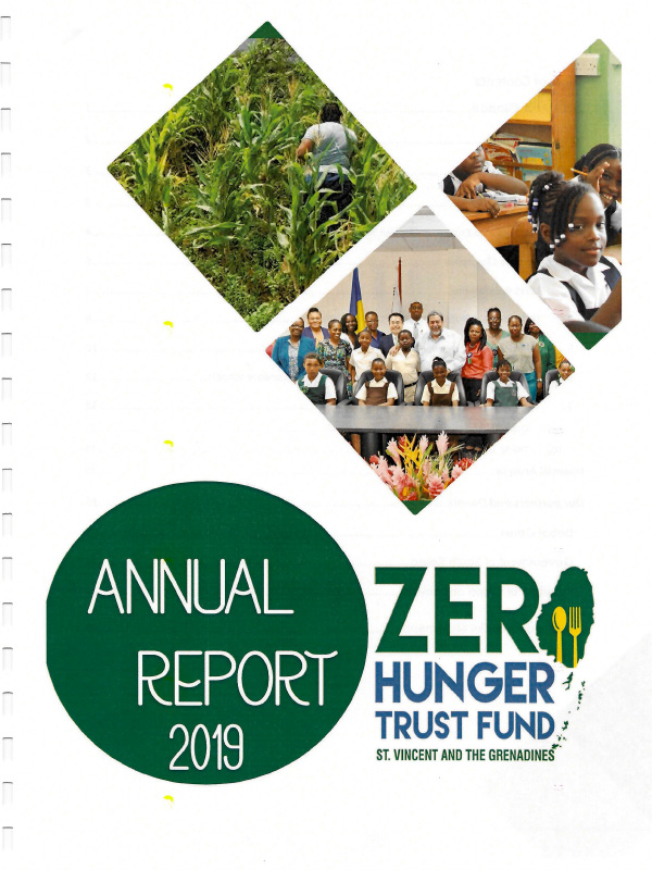 ZHTF Audited Annual Report 2019