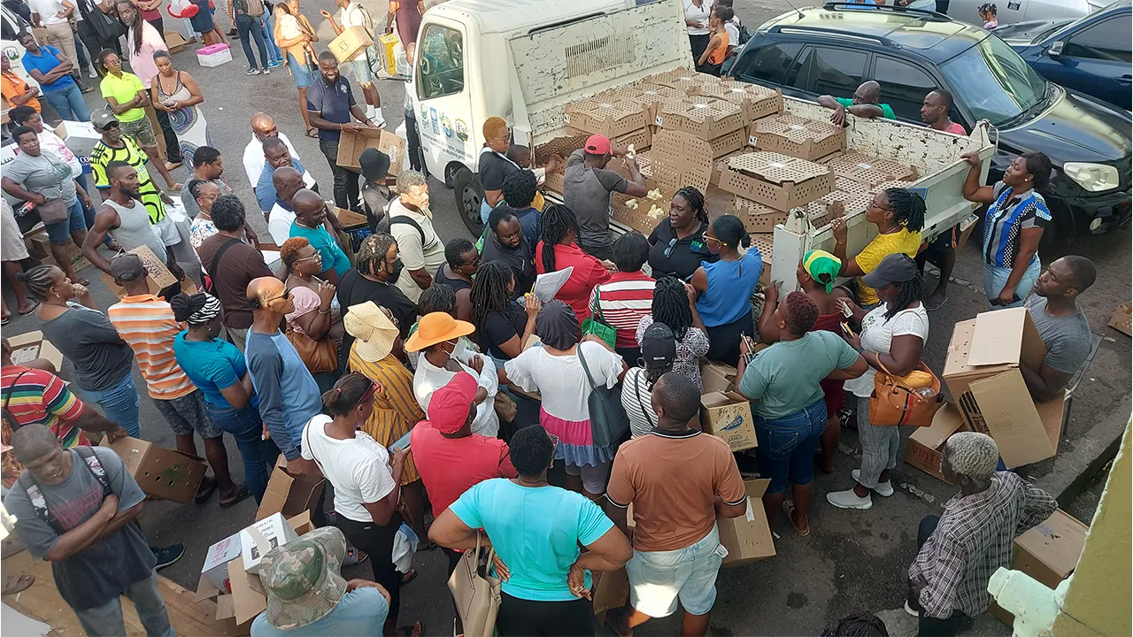 Zero Hunger Trust Fund Distributes Third Batch of Chickens to Boost Food Security