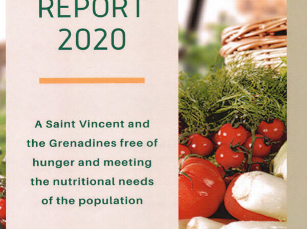 ZHTF Audited Annual Report 2020